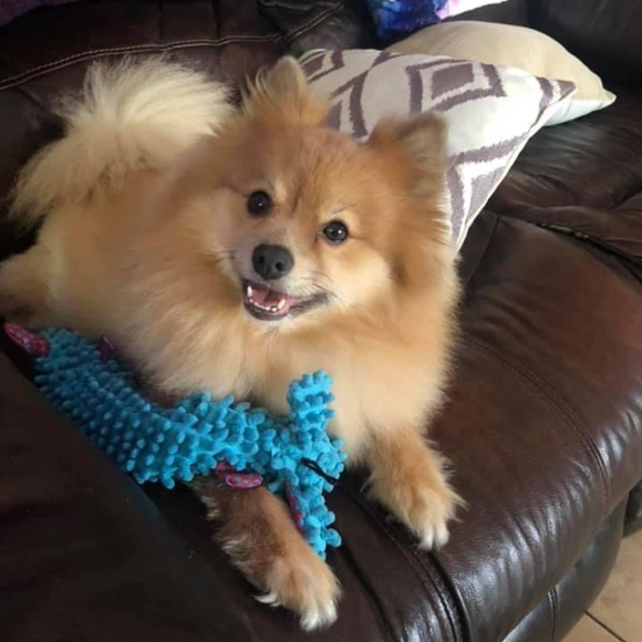 Meet your Posher, Rebecca - Picture 2 of 7